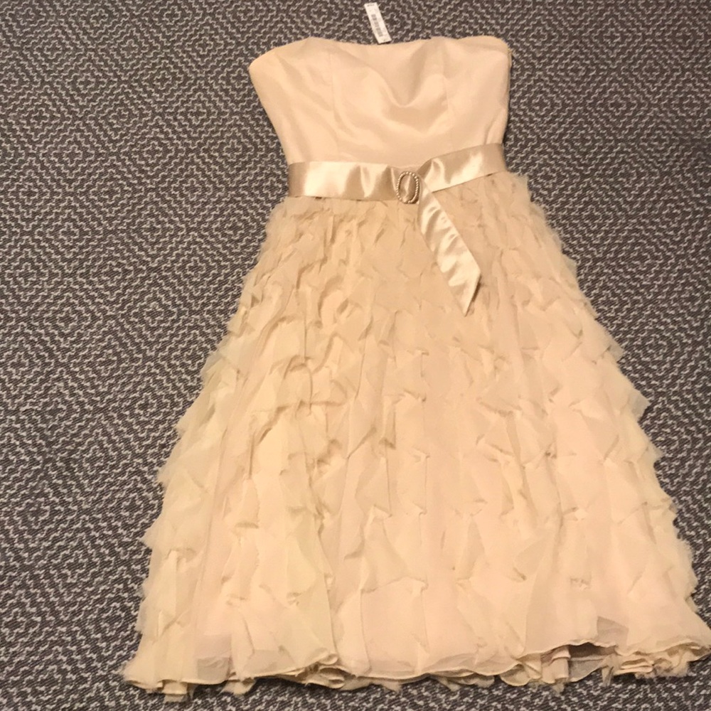 NWT beautiful whbm gown